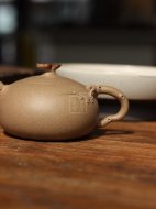 《老樹(shù)靈芝》