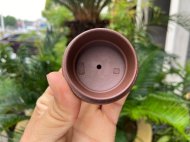 吉獅獻(xiàn)瑞