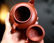 桃報春