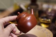 芭樂水平