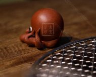 《章魚(yú)》