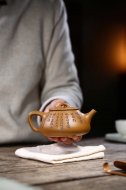 江南好，風(fēng)景舊曾諳【平蓋子冶】