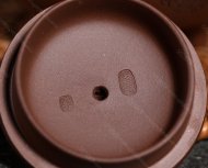 有鳳來(lái)儀