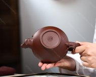 梅報春
