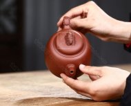 《靈龍納?！? title=