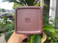 吉獅獻(xiàn)瑞