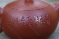 《鳥(niǎo)鳴聲聲》