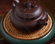 《玉蘭花開(kāi)》