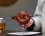魚化龍