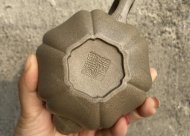 筋紋汲風