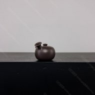 側(cè)把小唐羽