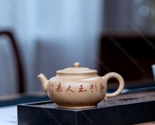 玉蘭花開(kāi)