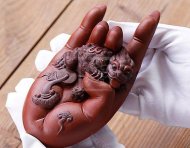 《財(cái)運(yùn)亨通》