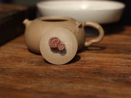 《老樹(shù)靈芝》