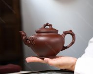梅報春