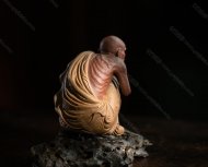 羅漢