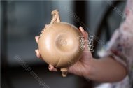 《多子多?！? title=