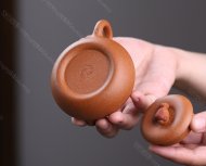 金魚