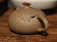 《老樹(shù)靈芝》