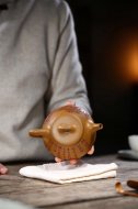 江南好，風(fēng)景舊曾諳【平蓋子冶】