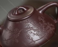 瓣生香獨(dú)傲寒，此梅難并眾梅看。 【