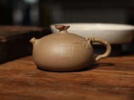 《老樹(shù)靈芝》