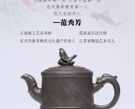 魚(yú)龍百變