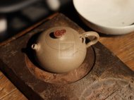 《老樹(shù)靈芝》