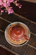 《鳥語(yǔ)花香》