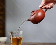 長青
