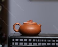 金魚