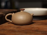 《老樹(shù)靈芝》