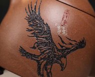 《秦權(quán)》
