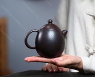 龍蛋