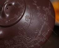 瓣生香獨(dú)傲寒，此梅難并眾梅看。 【