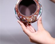 《鹿鹿鴻?！? title=