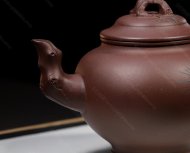 報春