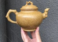 梅報(bào)春