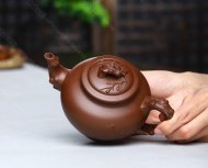 報(bào)春套組