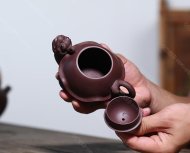 鴻運(yùn)龜
