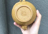 梅報(bào)春