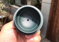 筋紋一粒珠