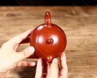 空山鳥(niǎo)鳴