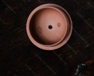 柿圓