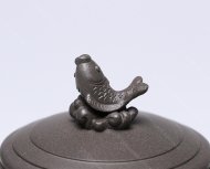 魚(yú)龍百變