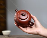 長青