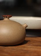 《老樹(shù)靈芝》