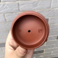 魚(yú)化龍