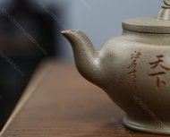 飲龍