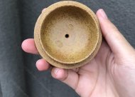 梅報(bào)春